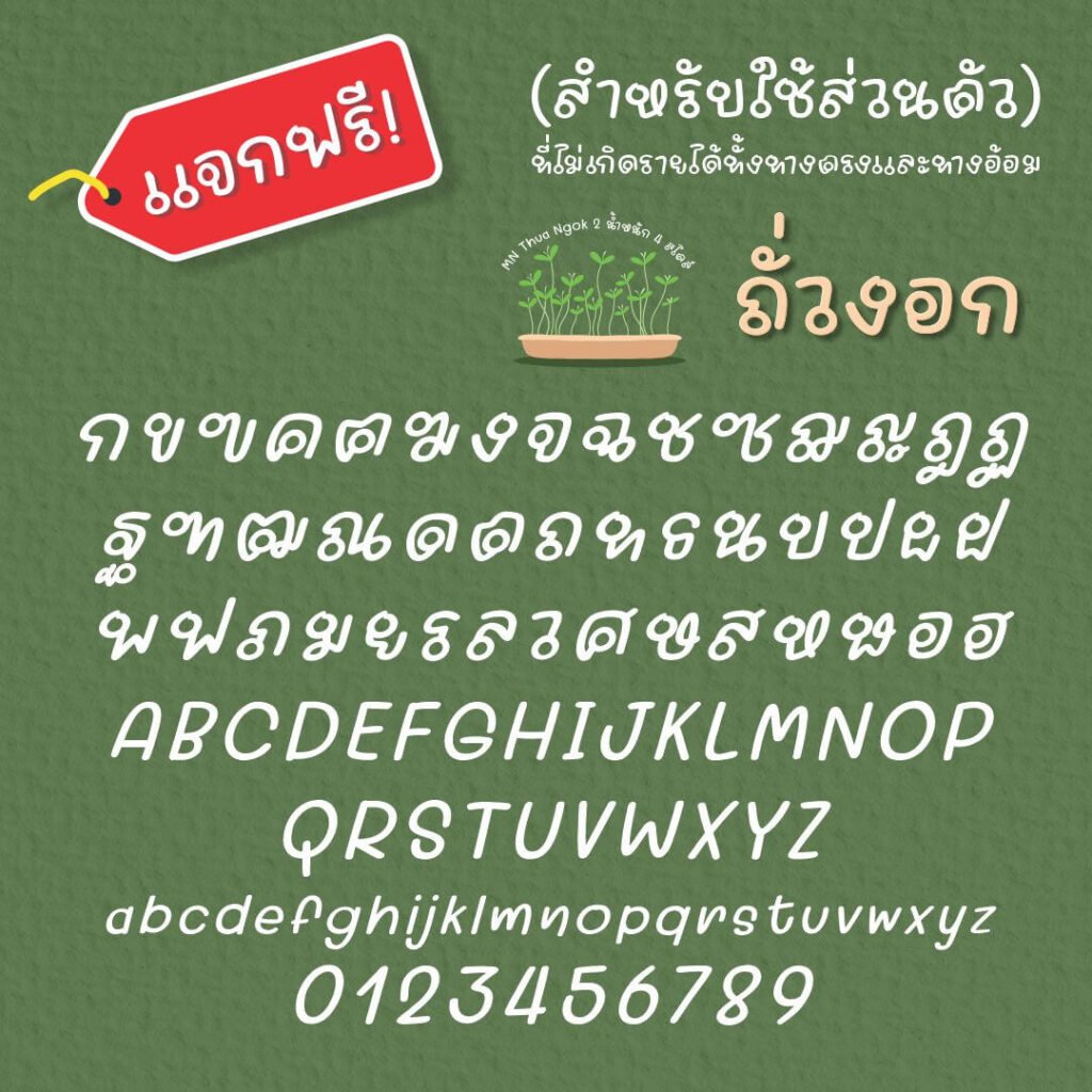 ถั่วงอก (MN Thua ngok)3