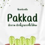 Pakkad-0-1536x1536