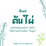 ต้นไผ่ (Tonphai)