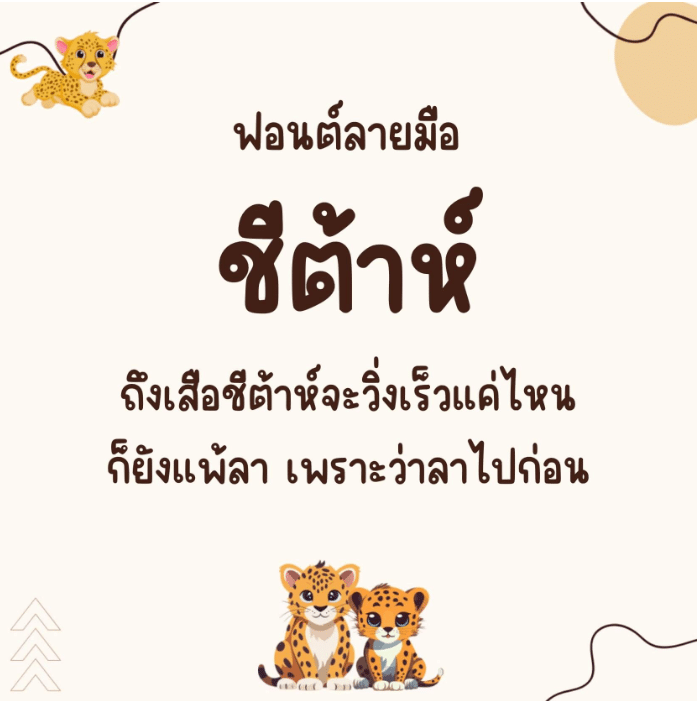 ชีต้าห์ (Cheetah)