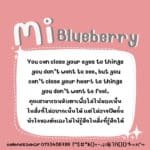 MiBlueberry-0-1536x1536