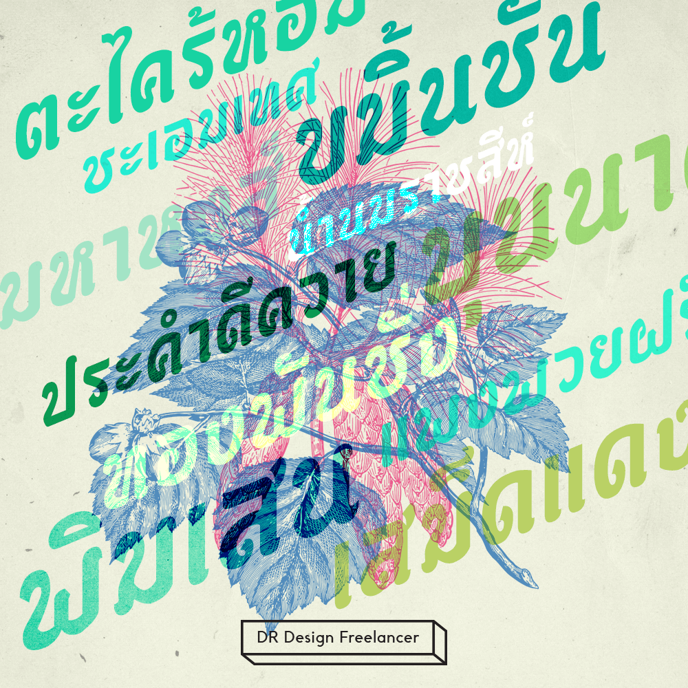 DRboran-poster