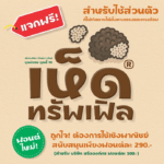 ทรัพเฟิล (MN Truffle)